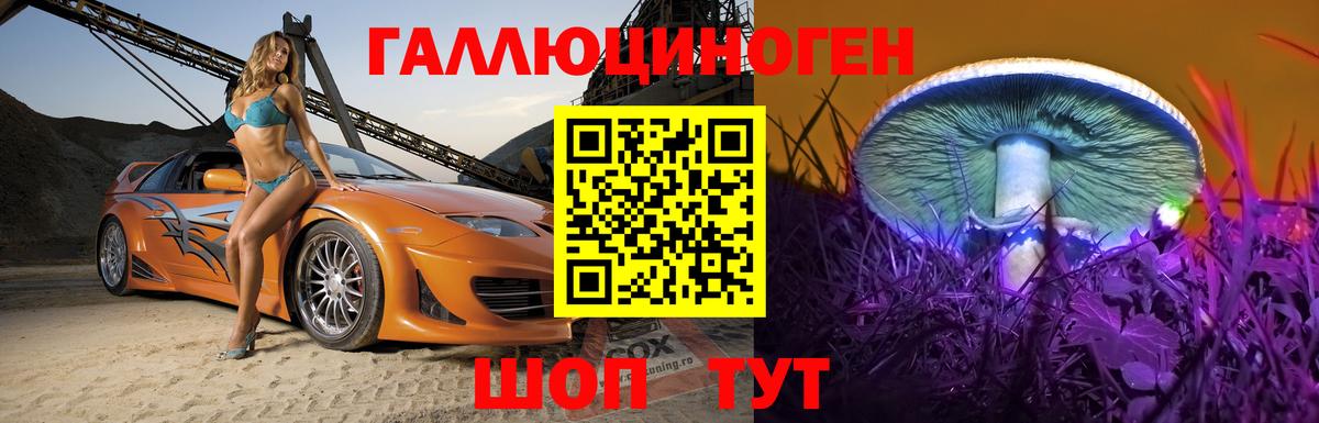 Псилоцибиновые грибы Psilocybine cubensis Рязань