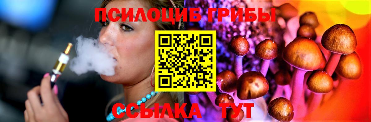 Псилоцибиновые грибы Psilocybine cubensis  Вход с VPN  хочу наркоту  Рязань 